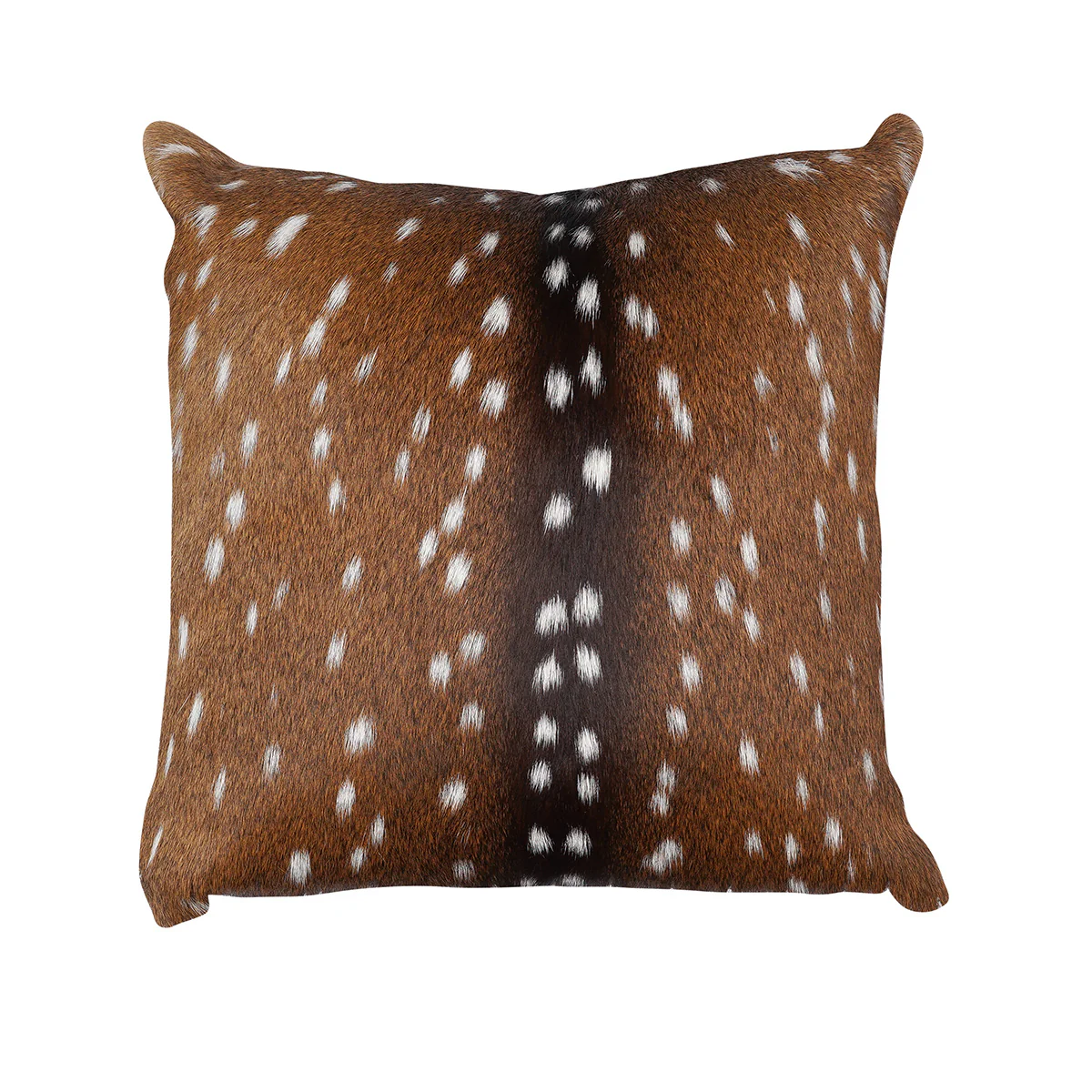 Axis Hide Pillow