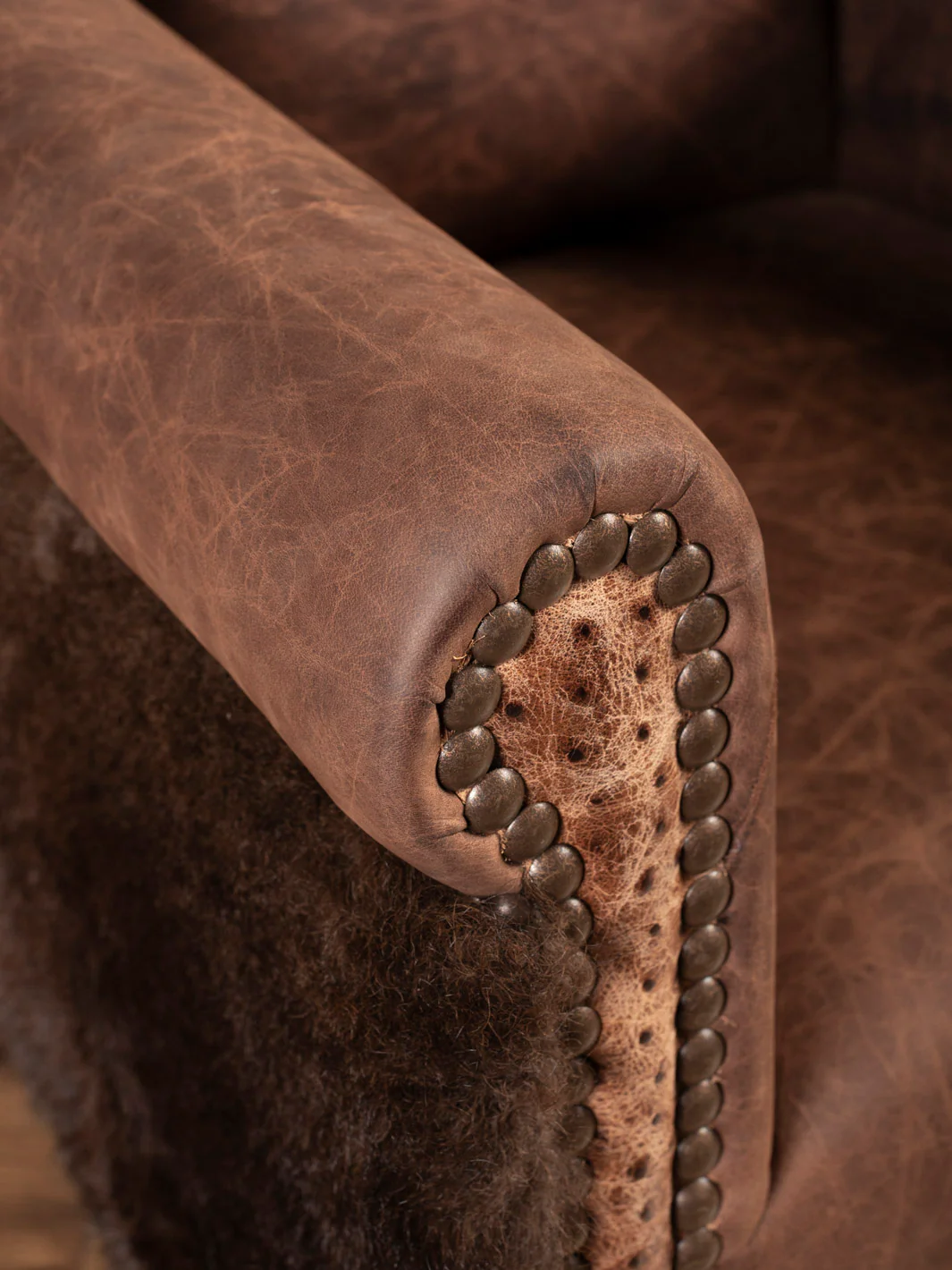 Buffalo & Ostrich Leather Trophy Chair - Image 5