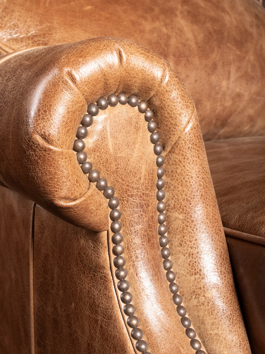 Sycamore Bronco Leather Recliner - Image 3